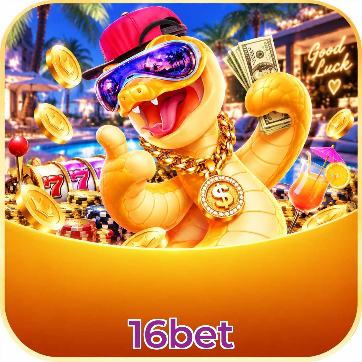 16bet